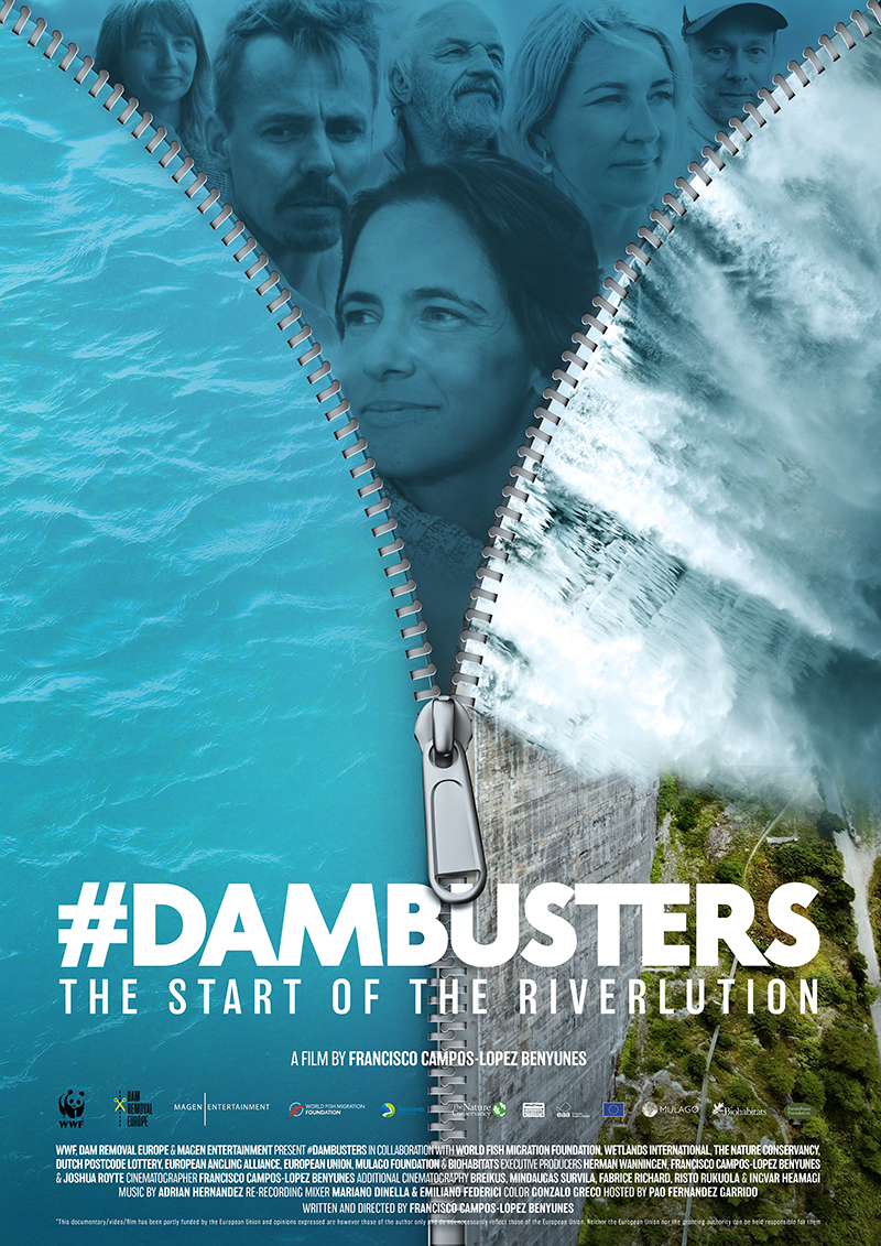 Filmplakat Dam Busters