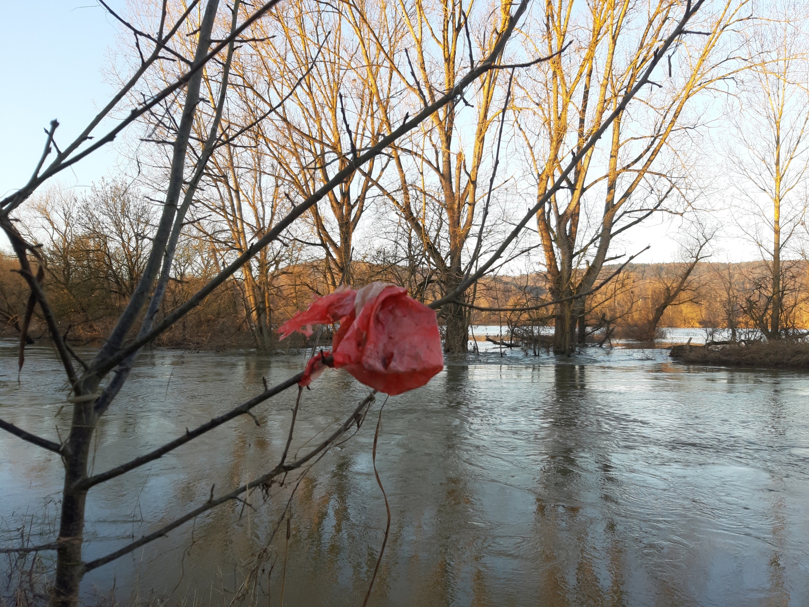 Das Januar-Hochwasser 2024 hat auch am Main viel Müll mitgebracht. Er wurde auf überschwemmten Bereichen mitgerissen oder mit dem Regen von Wegen und über Gräben in die Flüsse gespült. Foto: Anne Schmitt/Flussparadies Franken.