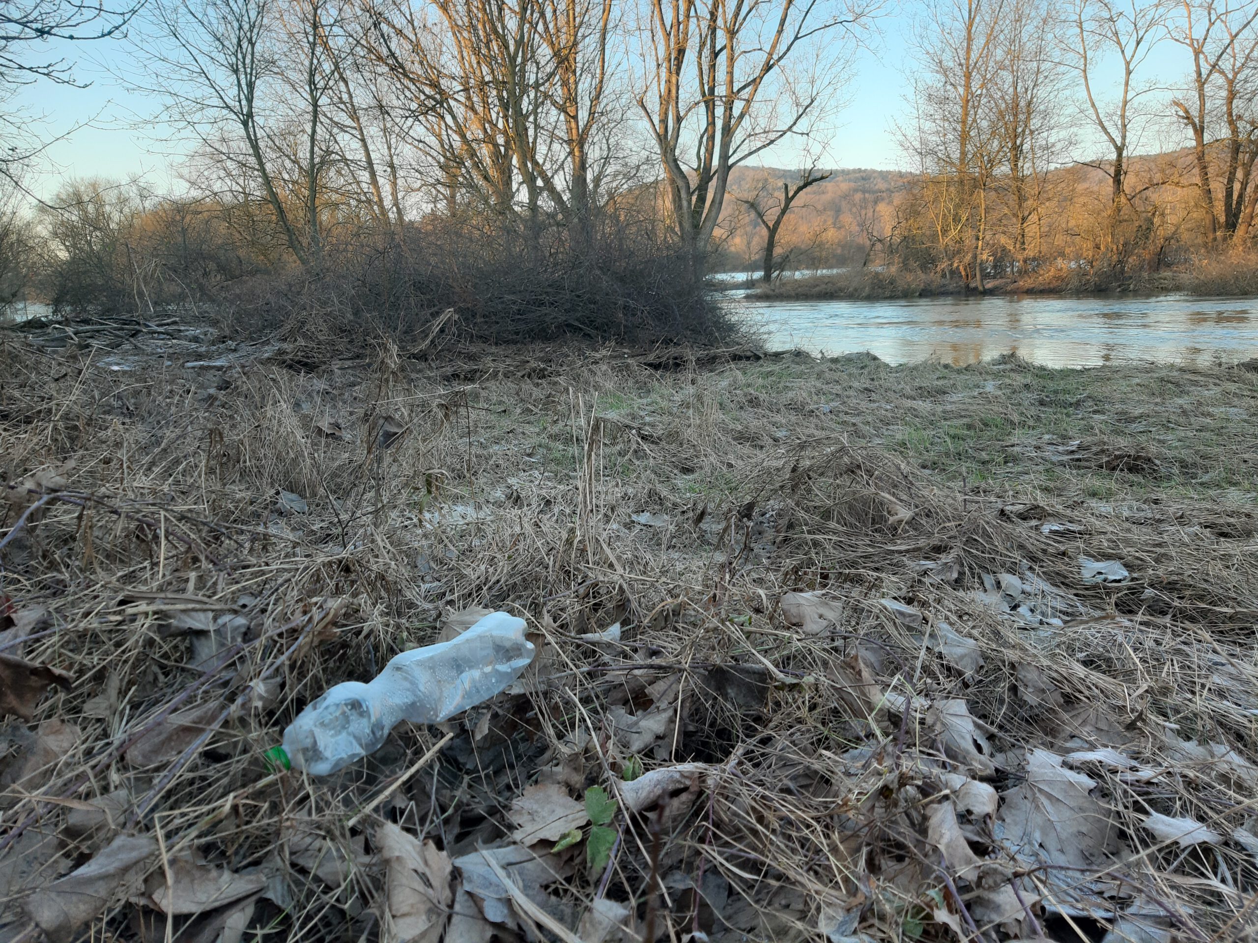 Mit dem Hochwasser im Januar 2024 am Mainufer angespülte Plastikflasche. Foto: Anne Schmitt/Flussparadies Franken