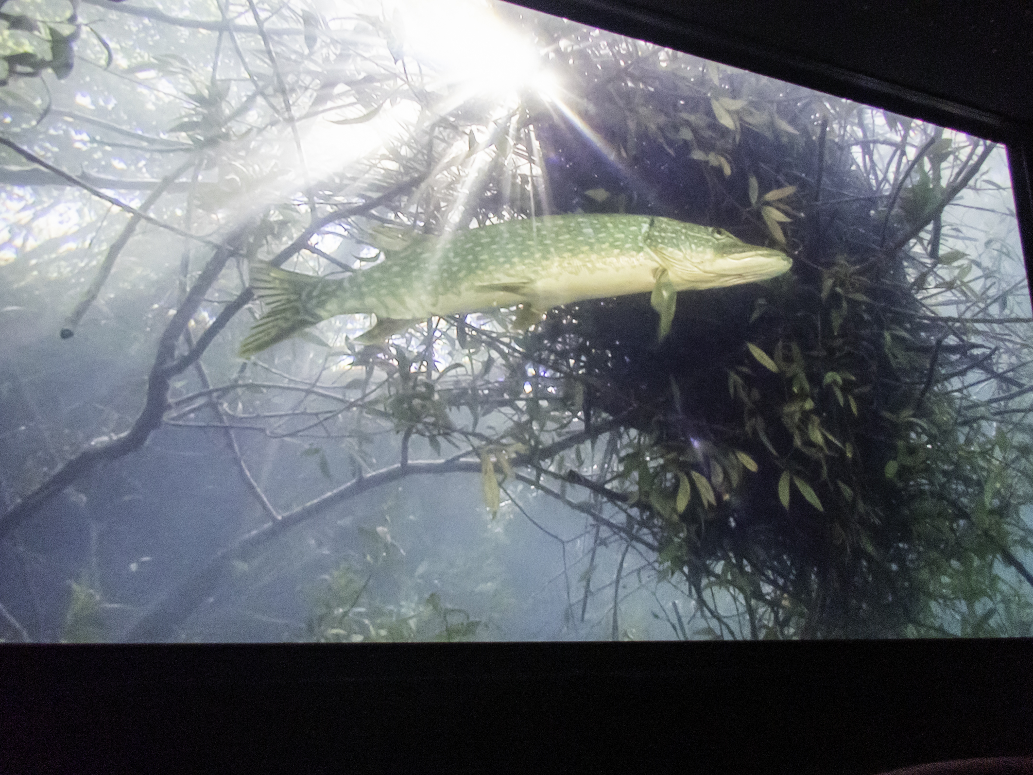 2025_03_Schmitt_Mainflussfilmfest-147