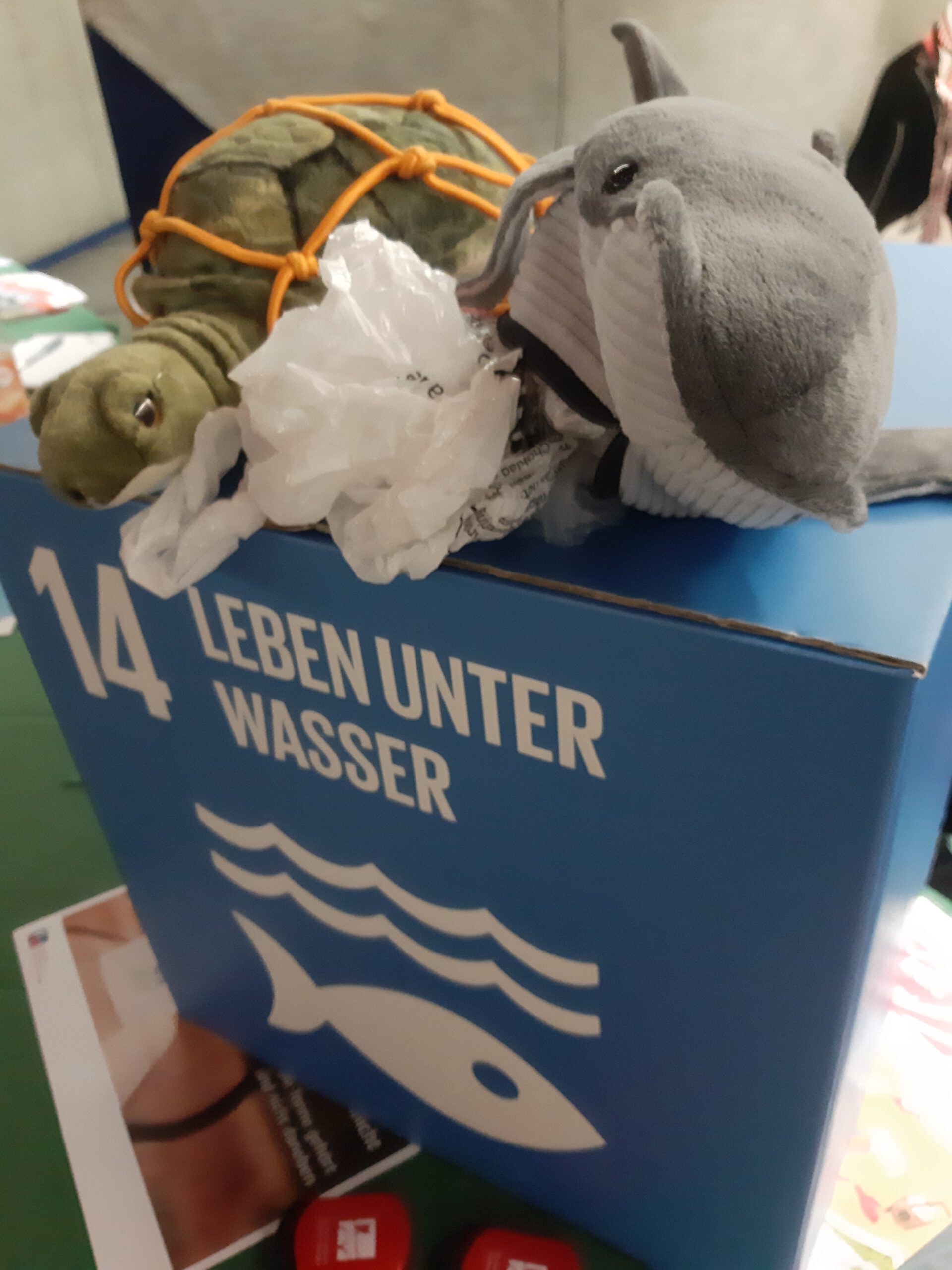 Umweltstation Kitzinging SDG 14 Leben unter Wasser. Foto: Flussparadies Franken beim Main FlussFilmFest 2023 in Kitzingen Umweltstation Kitzinging SDG 14 Leben unter Wasser. Foto: Flussparadies Franken beim Main FlussFilmFest 2023 in Kitzingen