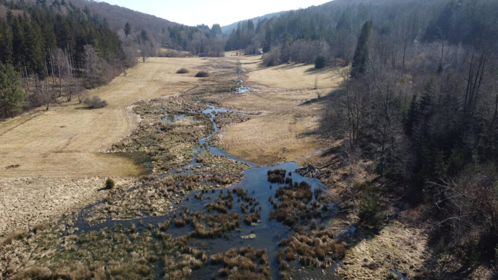 Weihersgrund: Foto: WassergruppeMarktheidenfeld